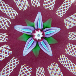 Paul Ysart Harland Paperweight. H Cane. Central Flower