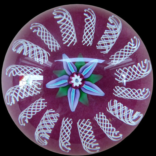 Paul Ysart Harland Paperweight. H Cane. Central Flower