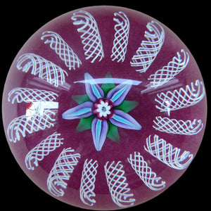 Paul Ysart Harland Paperweight. H Cane. Central Flower