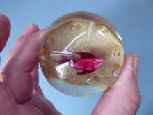 Load image into Gallery viewer, Vintage Paul Ysart Harland Paperweight. Signed with H Cane
