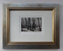 Load image into Gallery viewer, Norman McBeath Artist&#39;s Proof Photogravure. Trees in a Wood Signed
