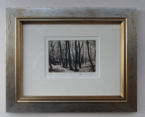 Norman McBeath Artist's Proof Photogravure. Trees in a Wood Signed
