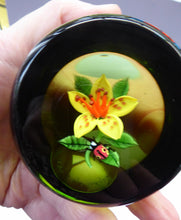 Load image into Gallery viewer, SCOTTISH Large 1991 Limited Edition Caithness LILIES and LADYBIRD Paperweight by William Manson. Signed to the base

