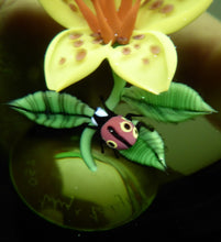 Load image into Gallery viewer, SCOTTISH Large 1991 Limited Edition Caithness LILIES and LADYBIRD Paperweight by William Manson. Signed to the base
