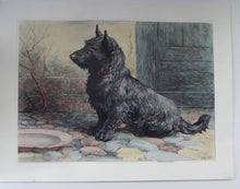 Load image into Gallery viewer, Herbert Thomas Dicksee Original Print Forgotten Scottish Terrier
