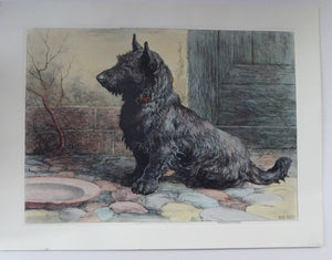 Herbert Thomas Dicksee Original Print Forgotten Scottish Terrier