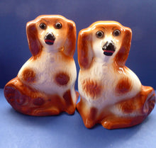 Load image into Gallery viewer, Antique Pair of Staffordshire Dogs Chimney Spaniels / Wally Dugs. 11 inches.  Unusual Brown &amp; White Dogs - with Original Glass Eyes; c 1880s
