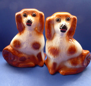 Antique Pair of Staffordshire Dogs Chimney Spaniels / Wally Dugs. 11 inches.  Unusual Brown & White Dogs - with Original Glass Eyes; c 1880s