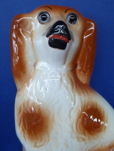 Antique Pair of Staffordshire Dogs Chimney Spaniels / Wally Dugs. 11 inches.  Unusual Brown & White Dogs - with Original Glass Eyes; c 1880s