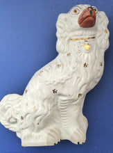 Load image into Gallery viewer, Antique Staffordshire Dogs Chimney Spaniels Yellow Painted Eyes 1880s

