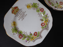 Load image into Gallery viewer, Pretty ELIZABETH II 1953 Porcelain Trio.  Coronation Cup, Saucer and Side Plate. STANLEY Pottery
