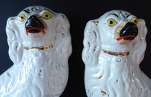 Load image into Gallery viewer, Antique Pair of Staffordshire Dogs Chimney Spaniels / Wally Dugs; 9 1/2 inches with yellow painted eyes, c1880s
