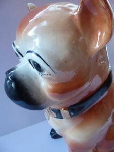 Antique LIFE SIZE Pug Dog Figurine / Slip Cast Model. Probaby STAFFORDSHIRE, c 1880s. 13 1/2 inches