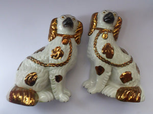 Rarer Pair of Victorian Staffordshire Spaniel Dogs / Wally Dugs. 9 inches in height. Unusual Gold Lustre Details