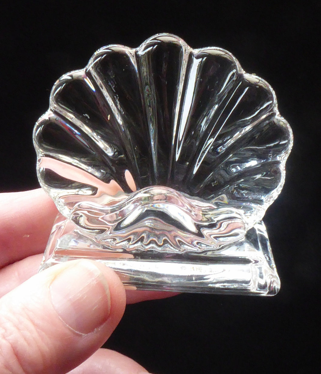 Baccarat Crystal Bambous Shell Menu Holders or Place Settings. Matching Set of Four