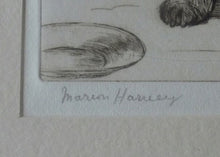 Load image into Gallery viewer, Marion Harvey Etching of a Cairn Terrier called Sandy

