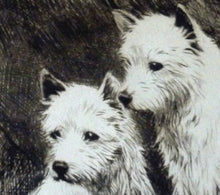 Load image into Gallery viewer, LISTED ARTIST. George Soper (1870 - 1942). Original 1920s Etching of Two West Highland Terriers. Signed in pencil
