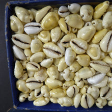 Load image into Gallery viewer, EDWARDIAN GAMES COUNTERS. Rare Art Nouveau Box with Original Shell Games Counters
