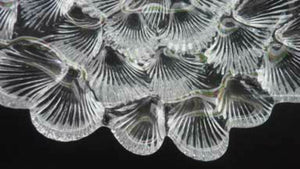 DANISH Royal Copenhagen Vintage Bi-valve Clear Crystal Bowl