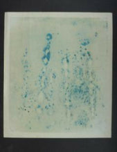Load image into Gallery viewer, Joichi Hoshi Colour Woodcut Necklace D
