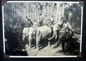 INDIA INTEREST: Early 20th Century Photo Album Showing the Life and Interests of the British Living in India in pre-war days