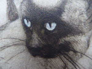 Vernon Stokes Etching Two Siamese Cats Watching a Cricket