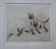 Load image into Gallery viewer, Vernon Stokes Etching Two Siamese Cats Watching a Cricket

