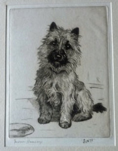 Marion Harvey Etching of a Cairn Terrier called Sandy