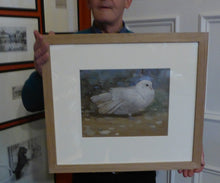 Load image into Gallery viewer, Scottish Art for Sale. Edwin Alexander Watercolour White Dove
