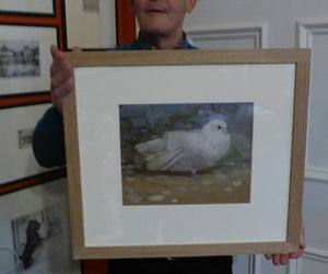 Scottish Art for Sale. Edwin Alexander Watercolour White Dove