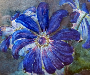 Kate Cameron Signed Watercolour of Blue Daisies Framed 