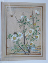 Load image into Gallery viewer, Kate Cameron Signed Watercolour Bees and Flowers Framed
