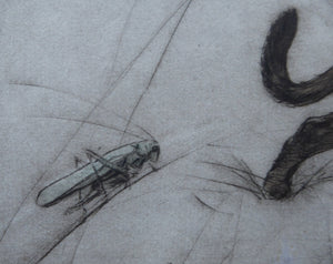 Vernon Stokes Etching Two Siamese Cats Watching a Cricket
