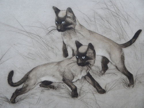 Vernon Stokes Etching Two Siamese Cats Watching a Cricket