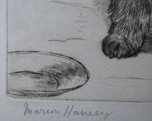 Load image into Gallery viewer, Marion Harvey Etching of a Cairn Terrier called Sandy
