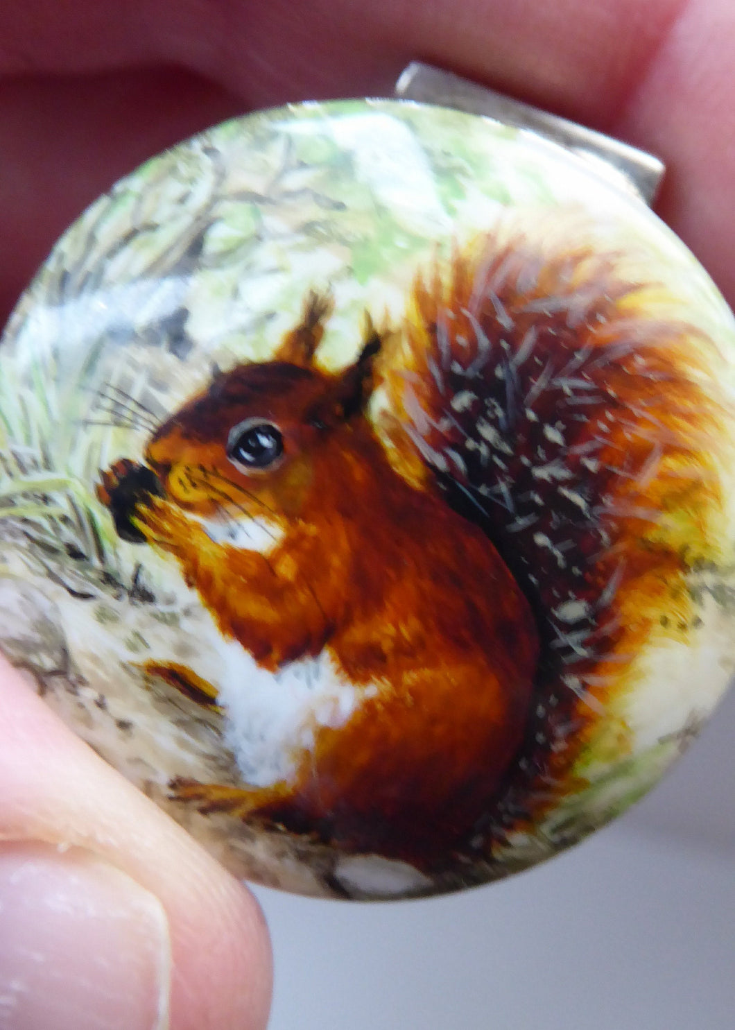 Cute Vintage Hallmarked SOLID SILVER Trinket Box. Hand-Painted Enamels on Lid  Featuring an Image of a RED Squirrel