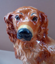 Load image into Gallery viewer, Fabulous PAIR of EXTRA LARGE Russet Coloured Staffordshire Dogs. Interesting Scottish Provenance
