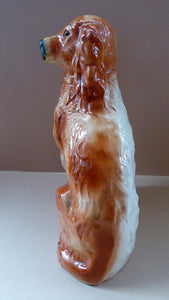 Fabulous PAIR of EXTRA LARGE Russet Coloured Staffordshire Dogs. Interesting Scottish Provenance