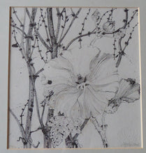 Load image into Gallery viewer, Scottish Art for Sale. Jane Hyslop Drawing of Wildflowers and Plants
