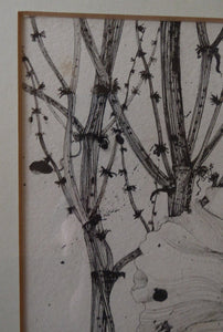 Scottish Art for Sale. Jane Hyslop Drawing of Wildflowers and Plants
