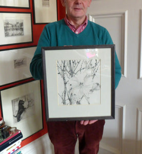 Scottish Art for Sale. Jane Hyslop Drawing of Wildflowers and Plants