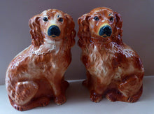 Load image into Gallery viewer, Fabulous PAIR of EXTRA LARGE Russet Coloured Staffordshire Dogs. Interesting Scottish Provenance

