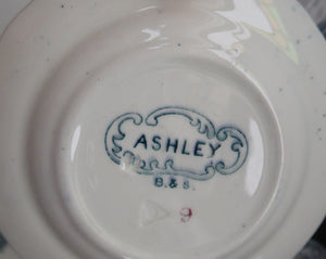 TWELVE Antique BISHOP & STONIER Miniature Child's Nursery Ashley Pattern Plates;  c 1880. Two Sets of Six