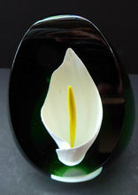 Load image into Gallery viewer, Scottish Caithness Glass Paperweight: Calla Lily by Gordon Hendry

