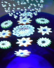 Load image into Gallery viewer, Caithness Whitefriars Glass Paperweight: MILLENNIUM by Colin Terris; 2000
