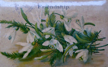 Load image into Gallery viewer, Antique 19th Century MAUCHLINE Ware Box. Sentimental Friendship Box with FRIENDSHIP Annotation and White Flowers Design
