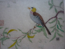 Load image into Gallery viewer, ORIGINAL DRYPOINT Etching / Woodblock Print by Elyse Ashe Lord (British, 1900–1971). Chinese Bird on a Branch, 1930s
